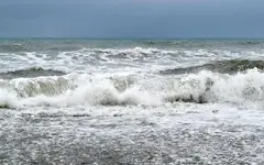Copy of IMG_8002 hv.webp