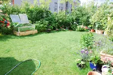 DSC_6755.2.webp