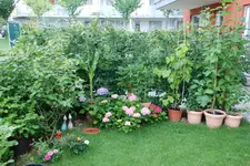 DSC_6778.2.webp