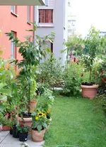 DSC_7073.2.webp