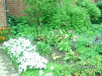 Vorgarten (3).webp
