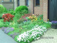 Vorgarten (4).webp