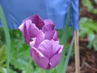 069.webp