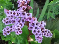 008.webp