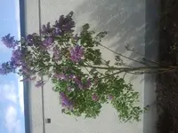 2013-05-09 11.13.01.webp
