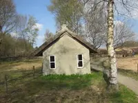 020.webp
