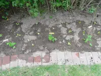 SAM_0760.webp
