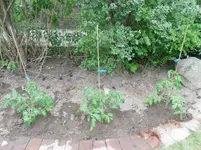 SAM_0758.webp