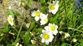 DSCN4624.webp