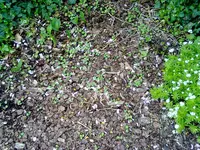 090520131070.webp