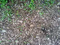 090520131072.webp