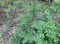 Foto0708.webp