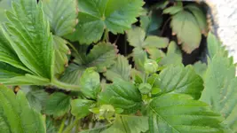 DSC06906.webp