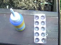 Werkzeug.webp