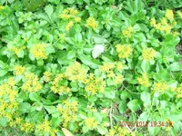GEDC1401 - Kopie.webp