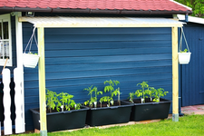 Tomatendach fertig_640.webp