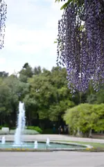 DSC_0344.webp