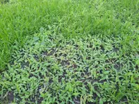 20130509_183728.webp