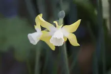 _DSC1528.webp