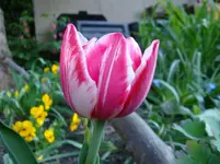 DSC00631.webp