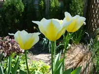 DSC00672.webp