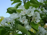 DSC00634.webp