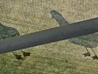 Copy of IMG_8870 v.webp