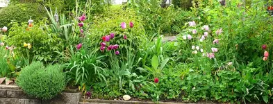 Blumenbeet.webp