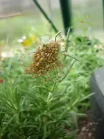 002.webp