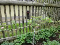 2013 035.webp