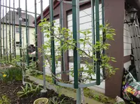 2013 040.webp