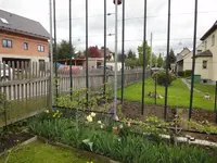 2013 041.webp