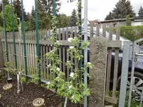 2013 038.webp