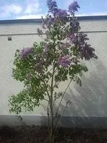2013-05-09 11.13.01.webp