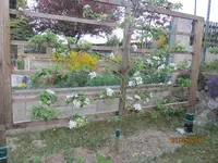 IMG_5600.webp