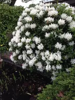 Bild 119.webp