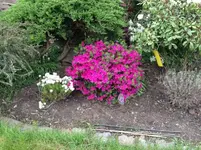 Bild 125.webp