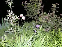 P1050871.webp