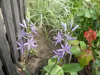 DSCN1990.webp