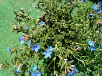 110520131086.webp