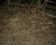 2013-05-10 21.webp
