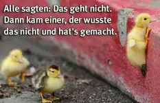 ddffg34ef.webp