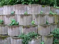 Erdbeeren Felsenbeet.webp