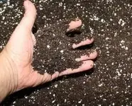 Das meistverwendete rukakan.webp