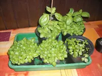 SANY0002.webp