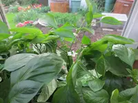 K1600_IMG_0005.webp