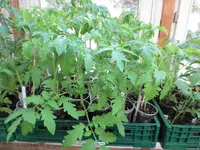 K1600_IMG_0001.webp