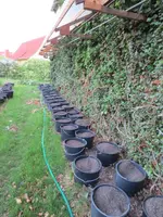 K1600_IMG_0008.webp