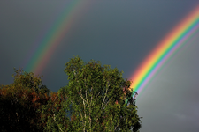 Mehrfach_Regenbögen_1024.webp
