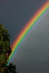 Regenbogen1_600.JPG